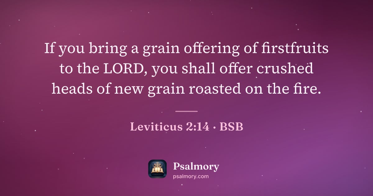 Leviticus 2:14 verse artwork: If you bring a grain offering of firstfruits to the LORD, you shall offer crushed heads…