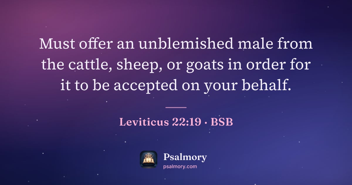 Leviticus 22:19 verse artwork: Must offer an unblemished male from the cattle, sheep, or goats in order for it to be…