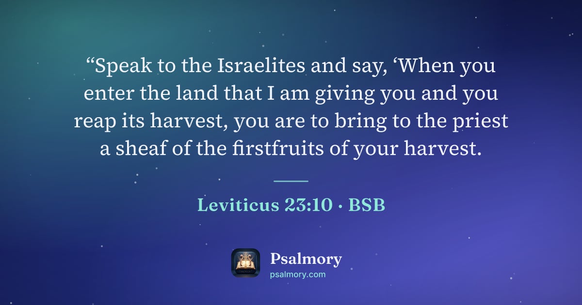 Leviticus 23:10 verse artwork: “Speak to the Israelites and say, ‘When you enter the land that I am giving you and you…