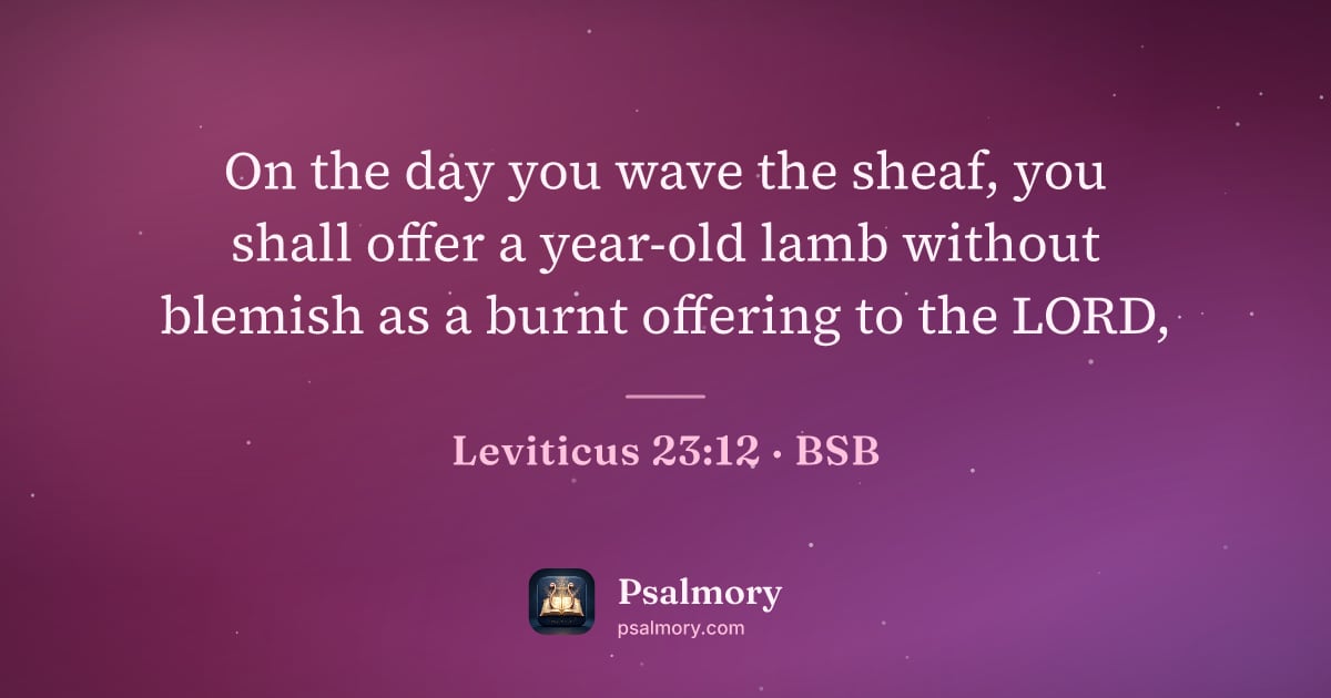 Leviticus 23:12 verse artwork: On the day you wave the sheaf, you shall offer a year-old lamb without blemish as a…