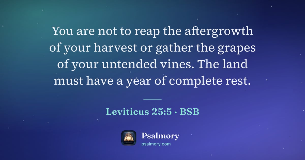 Leviticus 25:5 verse artwork: You are not to reap the aftergrowth of your harvest or gather the grapes of your…