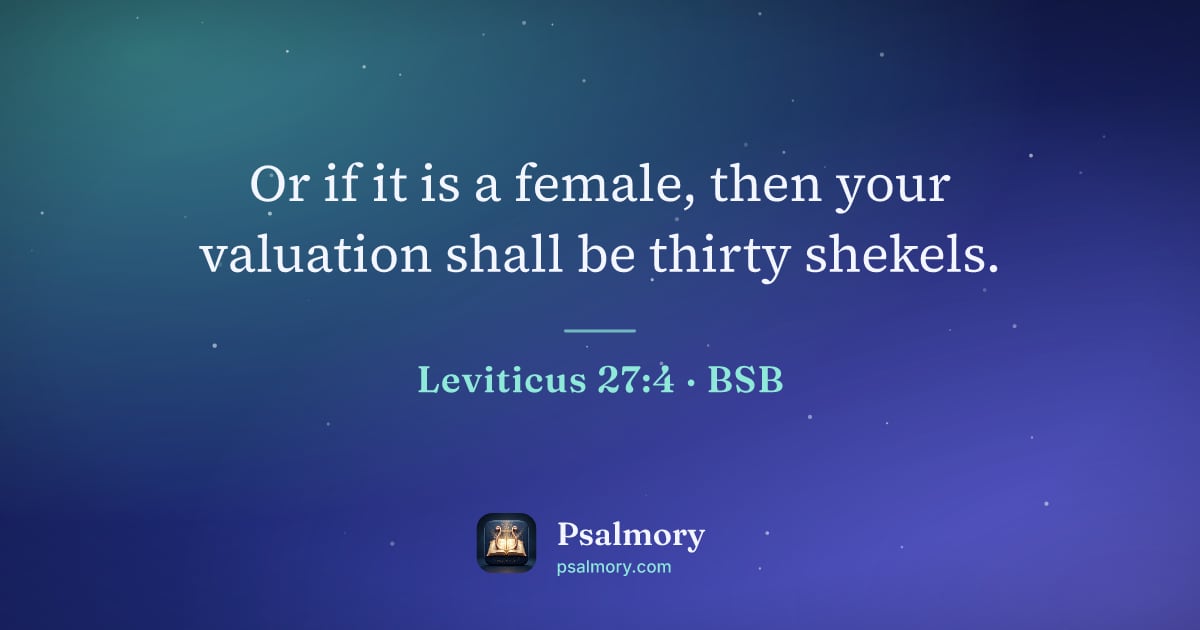 Leviticus 27:4 verse artwork: Or if it is a female, then your valuation shall be thirty shekels.