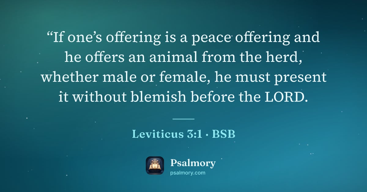 Leviticus 3:1 verse artwork: “If one’s offering is a peace offering and he offers an animal from the herd, whether…