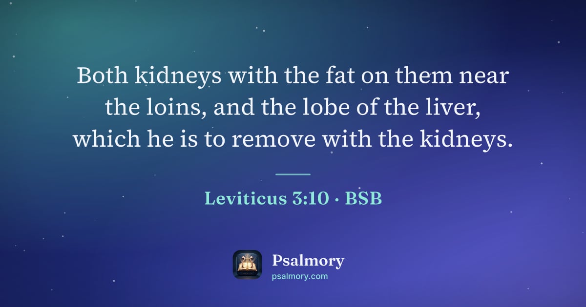 Leviticus 3:10 verse artwork: Both kidneys with the fat on them near the loins, and the lobe of the liver, which he is…