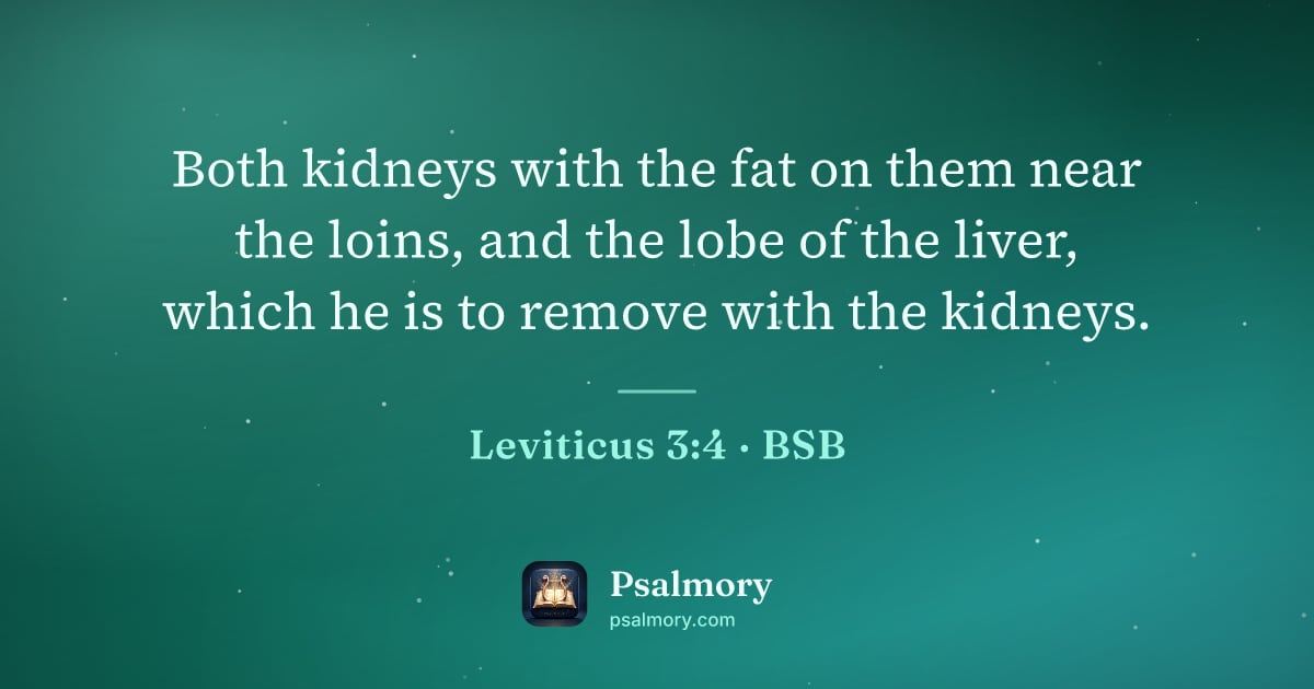 Leviticus 3:4 verse artwork: Both kidneys with the fat on them near the loins, and the lobe of the liver, which he is…