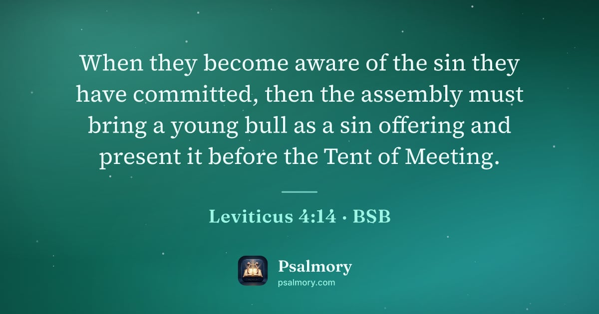 Leviticus 4:14 verse artwork: When they become aware of the sin they have committed, then the assembly must bring a…