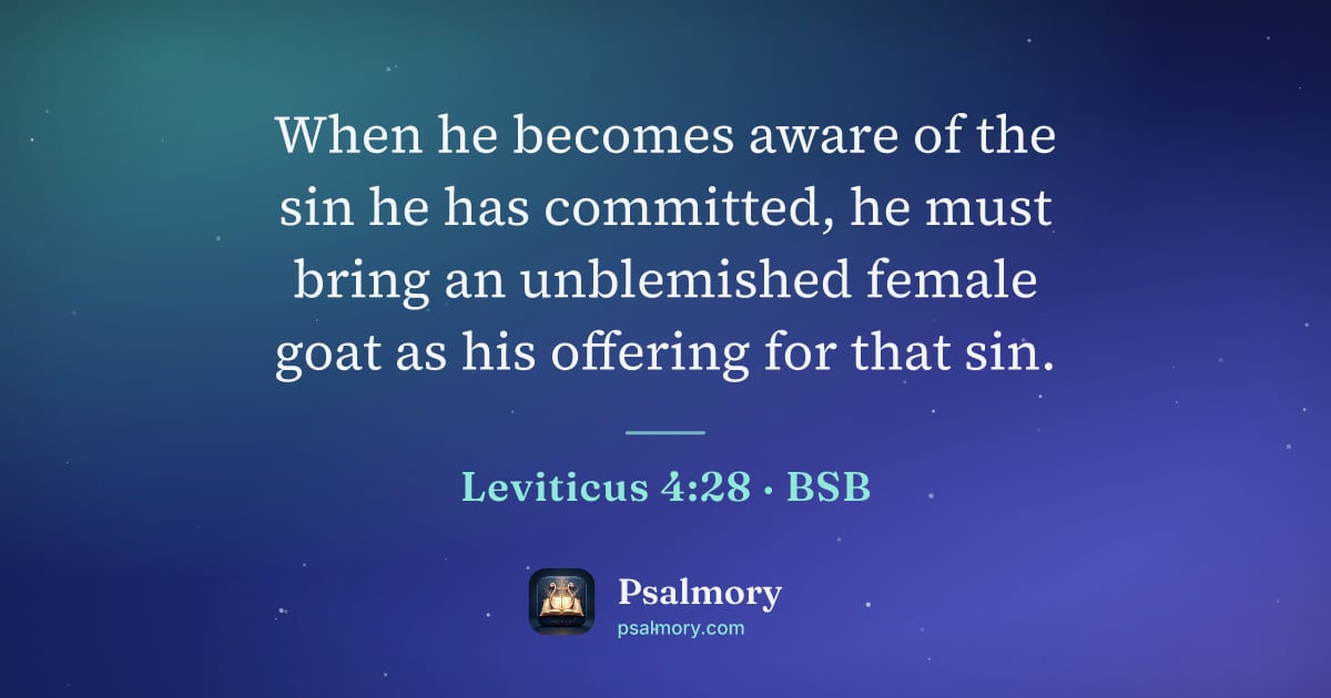 Leviticus 4:28 verse artwork: When he becomes aware of the sin he has committed, he must bring an unblemished female…
