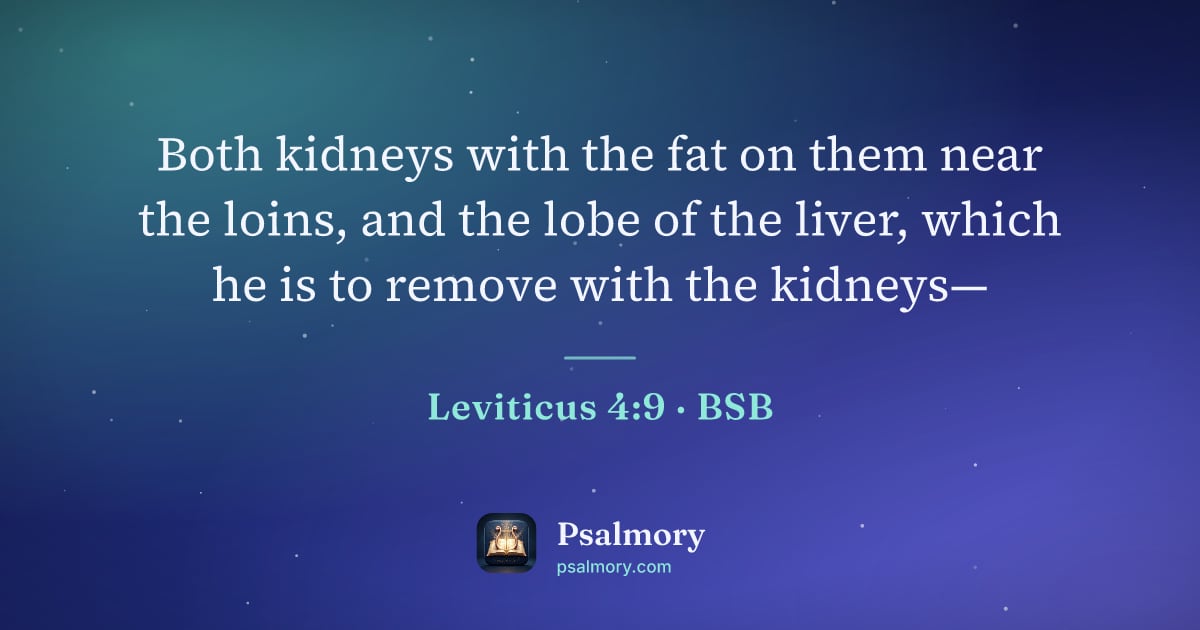 Leviticus 4:9 verse artwork: Both kidneys with the fat on them near the loins, and the lobe of the liver, which he is…