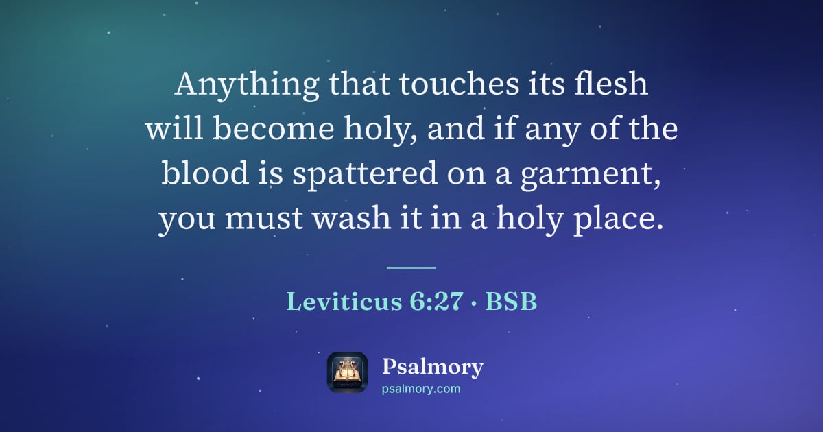 Leviticus 6:27 verse artwork: Anything that touches its flesh will become holy, and if any of the blood is spattered…