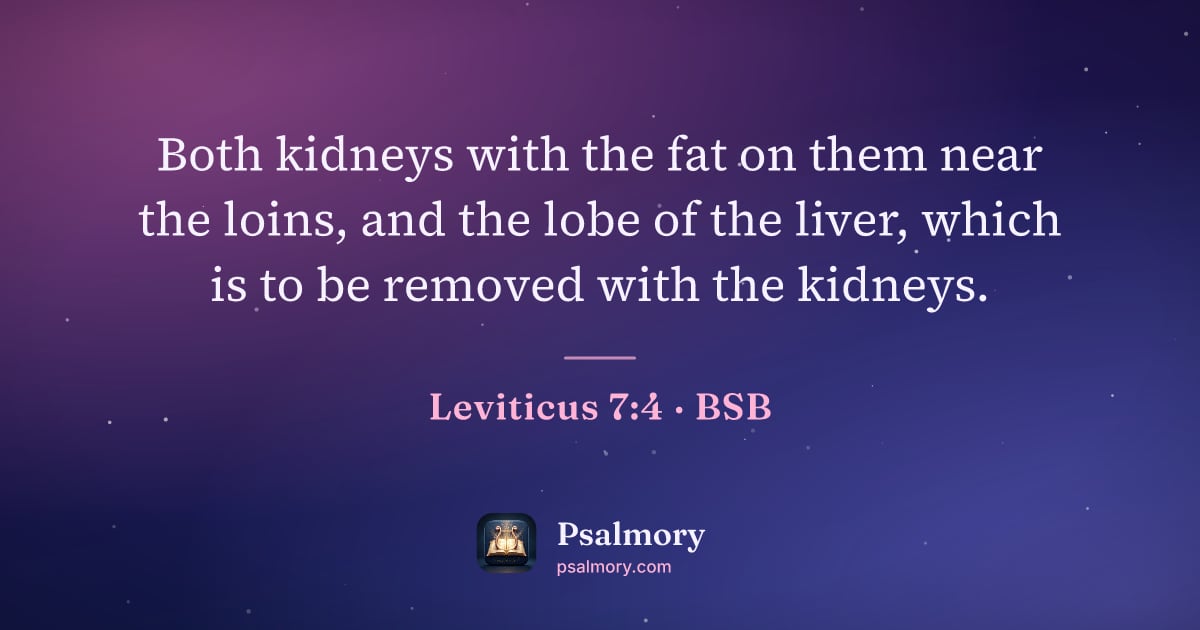 Leviticus 7:4 verse artwork: Both kidneys with the fat on them near the loins, and the lobe of the liver, which is to…