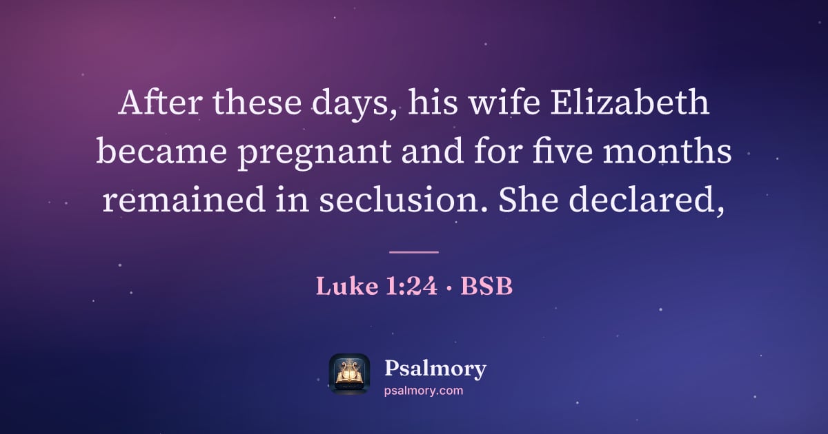 Luke 1:24 verse artwork: After these days, his wife Elizabeth became pregnant and for five months remained in…