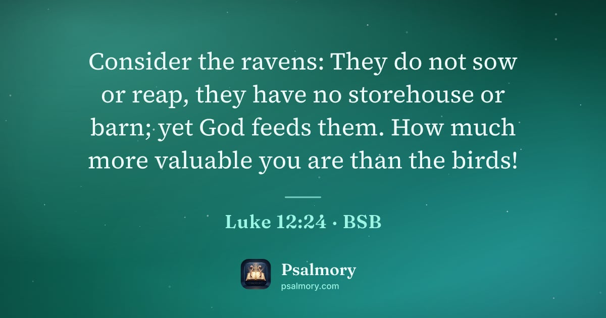 Luke 12:24 verse artwork: Consider the ravens: They do not sow or reap, they have no storehouse or barn; yet God…