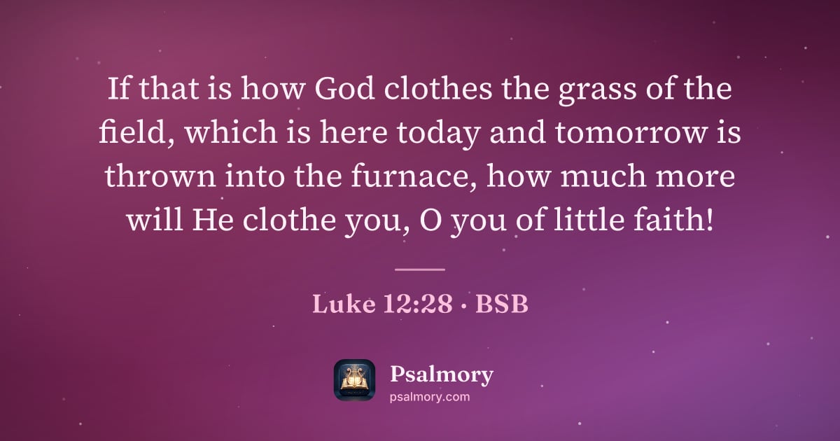 Luke 12:28 verse artwork: If that is how God clothes the grass of the field, which is here today and tomorrow is…