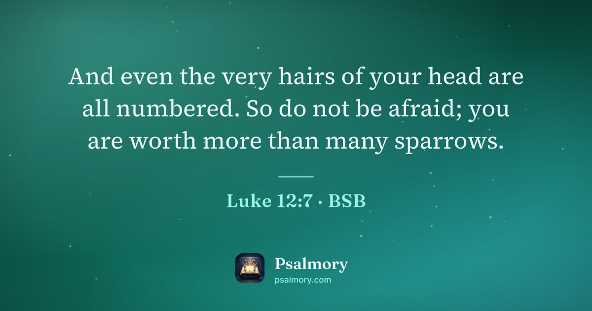 Luke 12:7 verse artwork: And even the very hairs of your head are all numbered. So do not be afraid; you are…