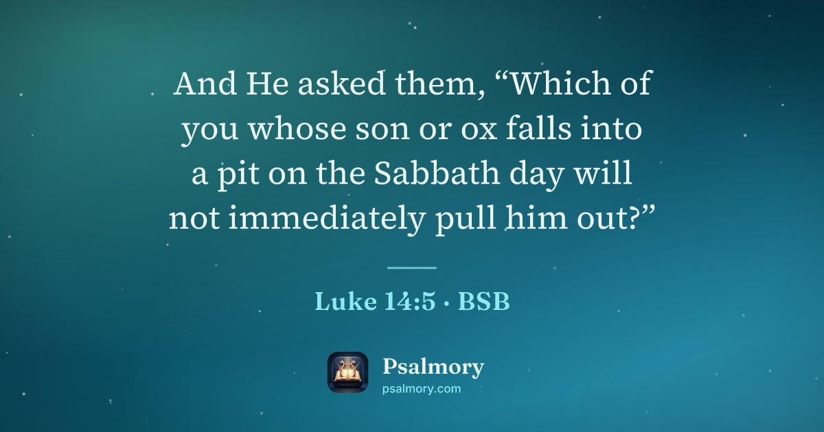 Luke 14:5 verse artwork: And He asked them, “Which of you whose son or ox falls into a pit on the Sabbath day…