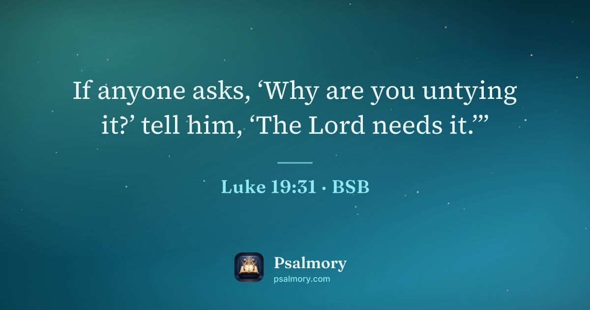 Luke 19:31 verse artwork: If anyone asks, ‘Why are you untying it?’ tell him, ‘The Lord needs it.’”