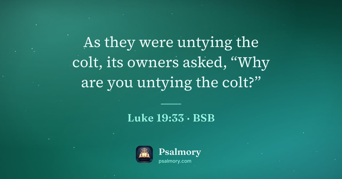 Luke 19:33 verse artwork: As they were untying the colt, its owners asked, “Why are you untying the colt?”