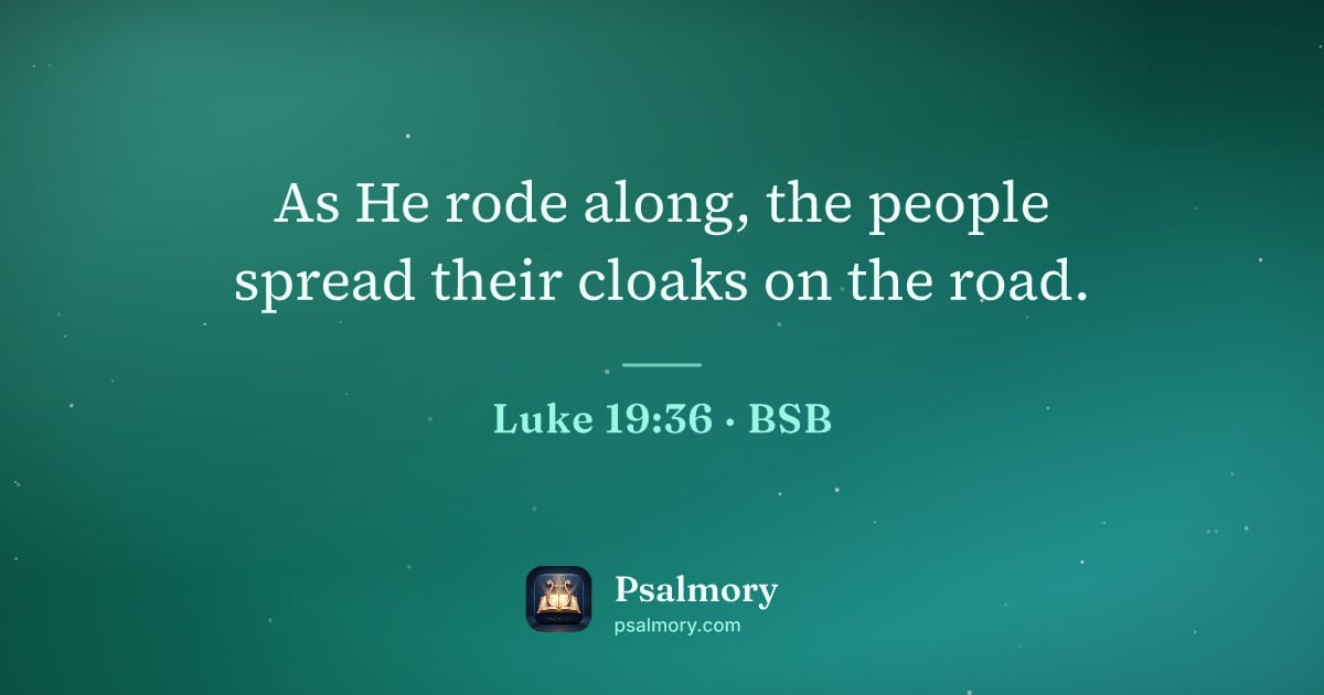 Luke 19:36 verse artwork: As He rode along, the people spread their cloaks on the road.