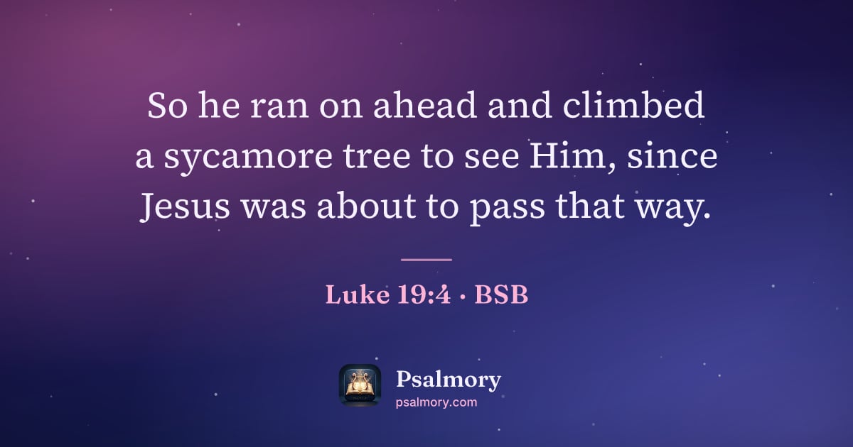 Luke 19:4 verse artwork: So he ran on ahead and climbed a sycamore tree to see Him, since Jesus was about to pass…
