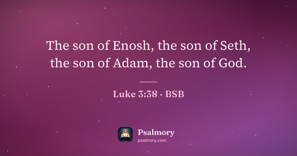 Luke 3:38 verse artwork: The son of Enosh, the son of Seth, the son of Adam, the son of God.