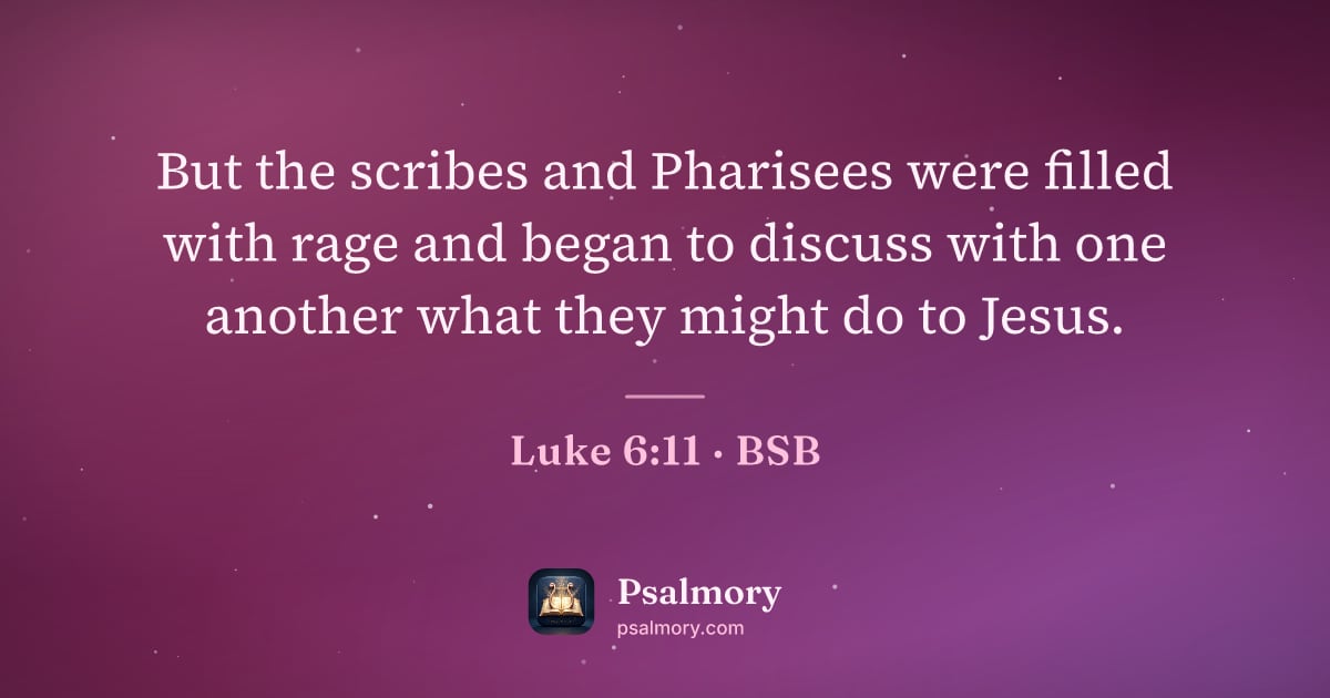 Luke 6:11 verse artwork: But the scribes and Pharisees were filled with rage and began to discuss with one…
