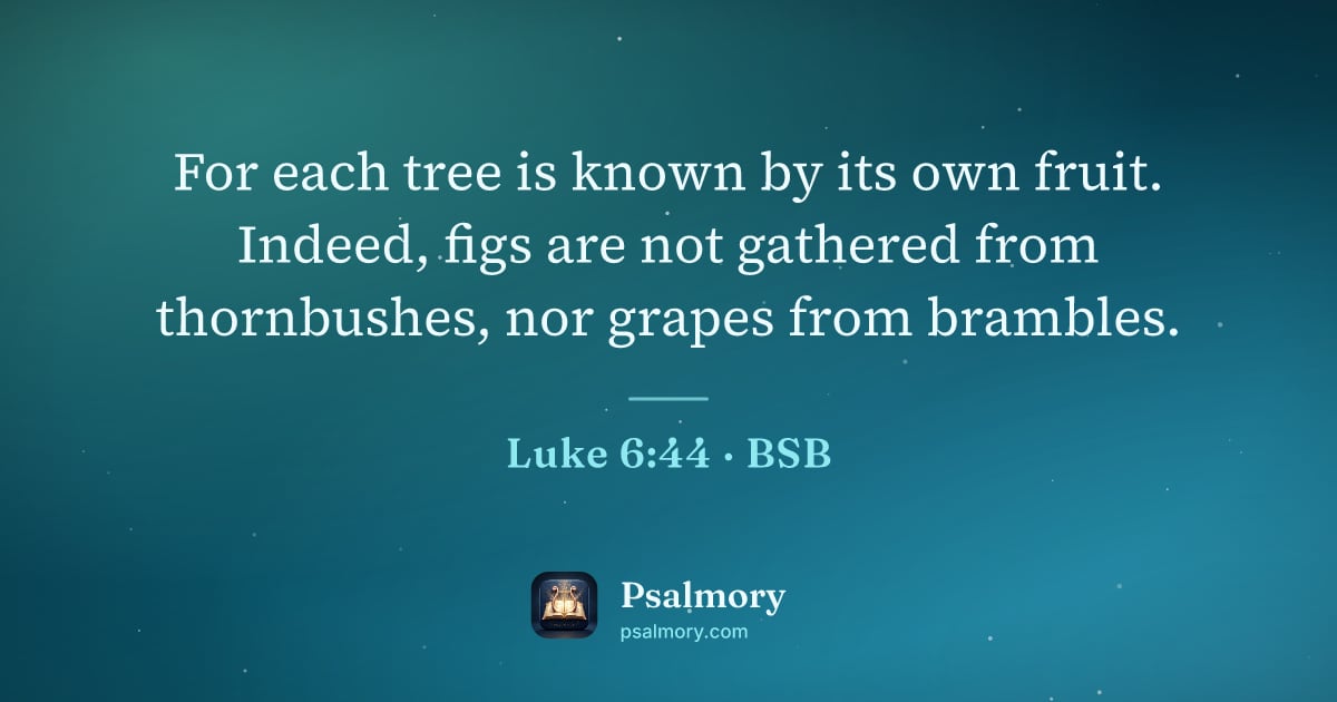 Luke 6:44 verse artwork: For each tree is known by its own fruit. Indeed, figs are not gathered from thornbushes,…