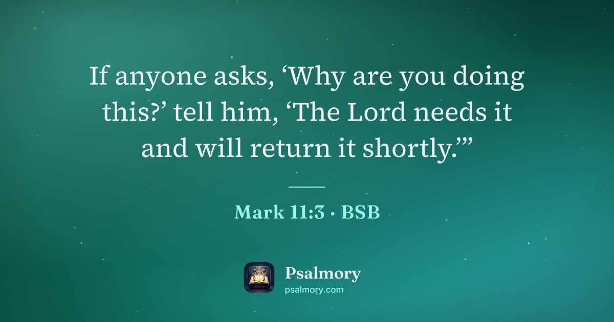 Mark 11:3 verse artwork: If anyone asks, ‘Why are you doing this?’ tell him, ‘The Lord needs it and will return…