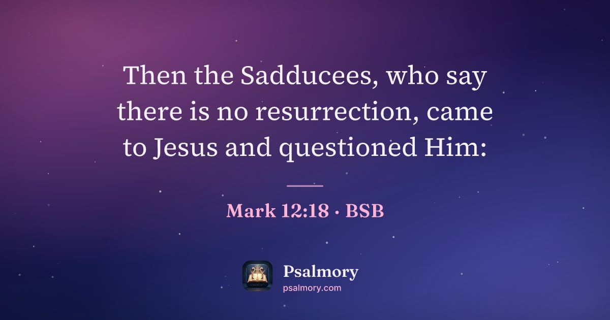 Mark 12:18 verse artwork: Then the Sadducees, who say there is no resurrection, came to Jesus and questioned Him: