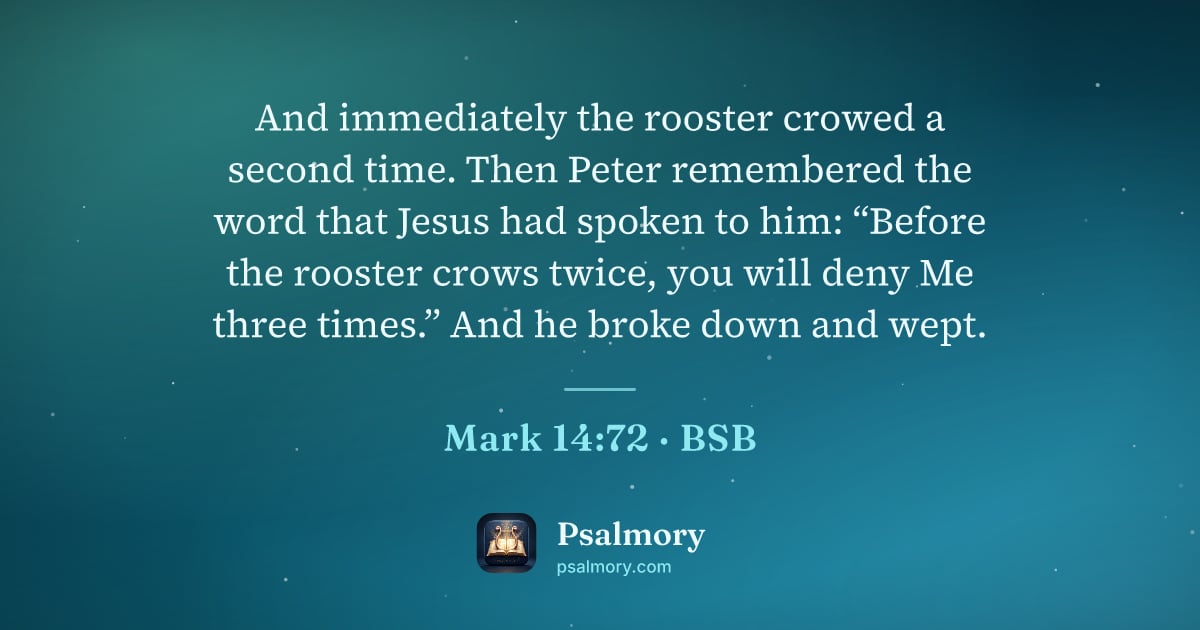 Mark 14:72 verse artwork: And immediately the rooster crowed a second time. Then Peter remembered the word that…