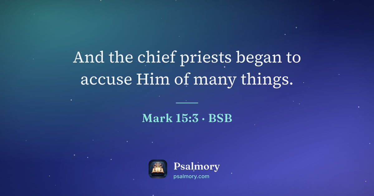 Mark 15:3 verse artwork: And the chief priests began to accuse Him of many things.
