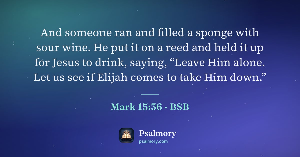 Mark 15:36 verse artwork: And someone ran and filled a sponge with sour wine. He put it on a reed and held it up…