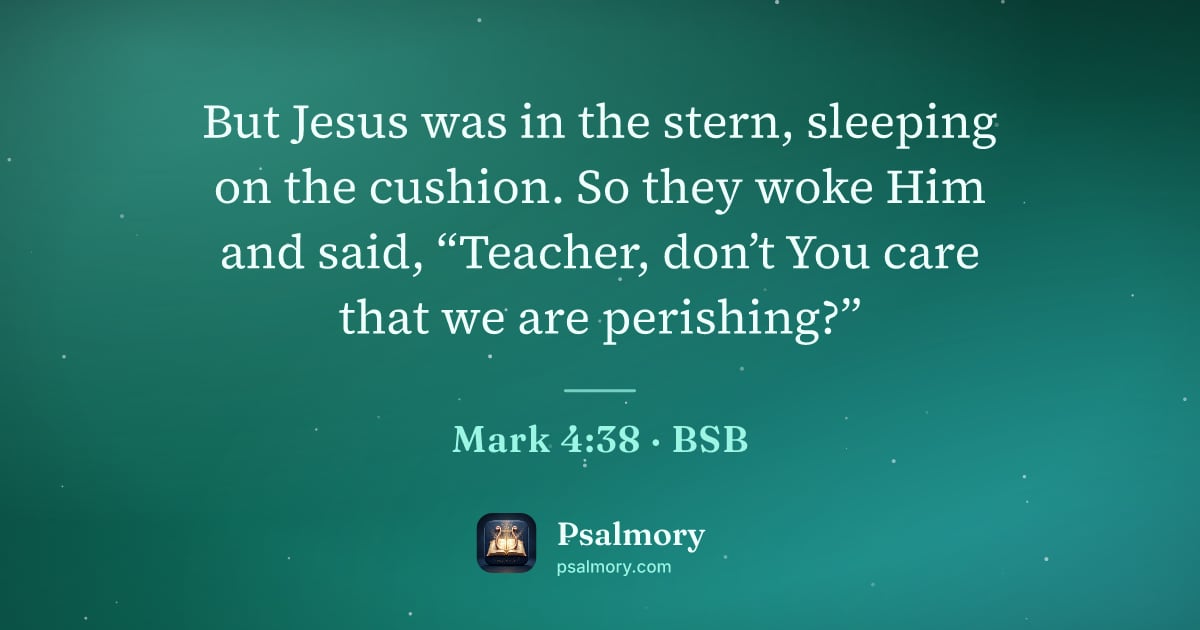 Mark 4:38 verse artwork: But Jesus was in the stern, sleeping on the cushion. So they woke Him and said,…
