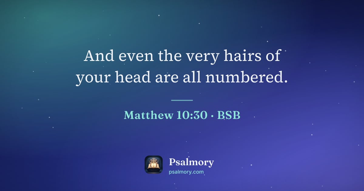 Matthew 10:30 verse artwork: And even the very hairs of your head are all numbered.