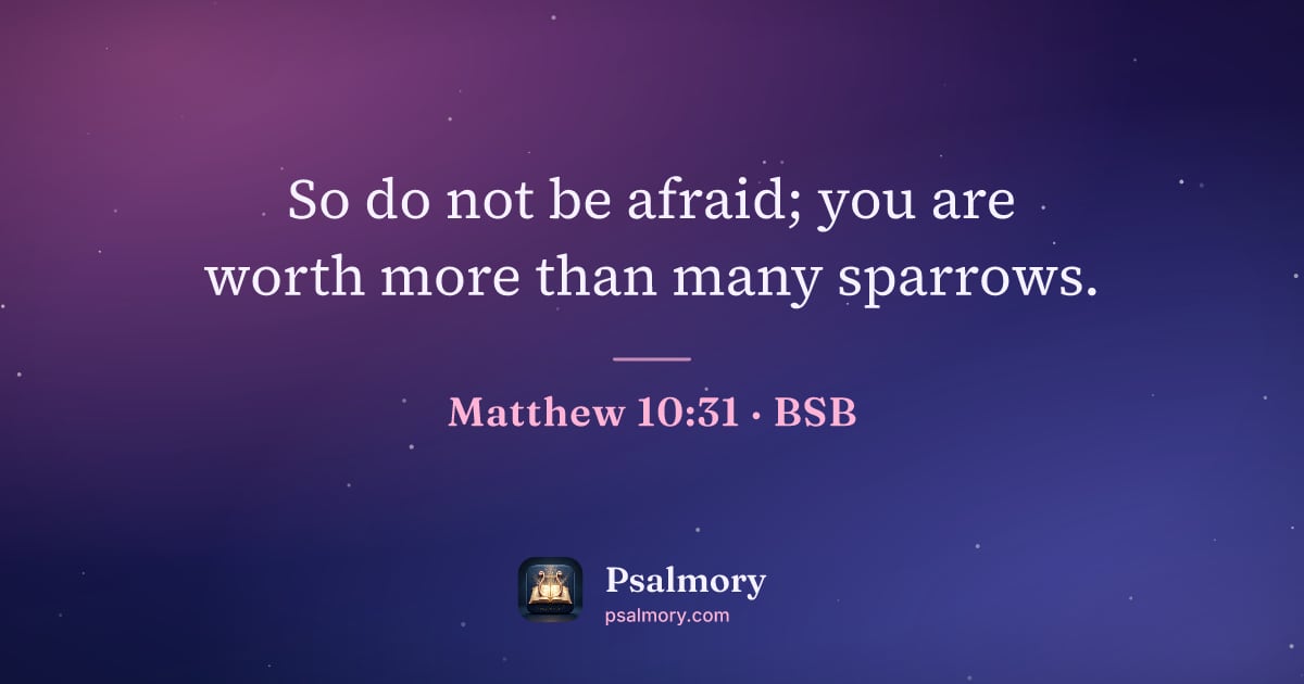 Matthew 10:31 verse artwork: So do not be afraid; you are worth more than many sparrows.