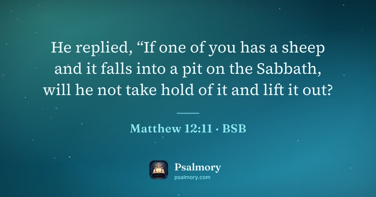 Matthew 12:11 verse artwork: He replied, “If one of you has a sheep and it falls into a pit on the Sabbath, will he…