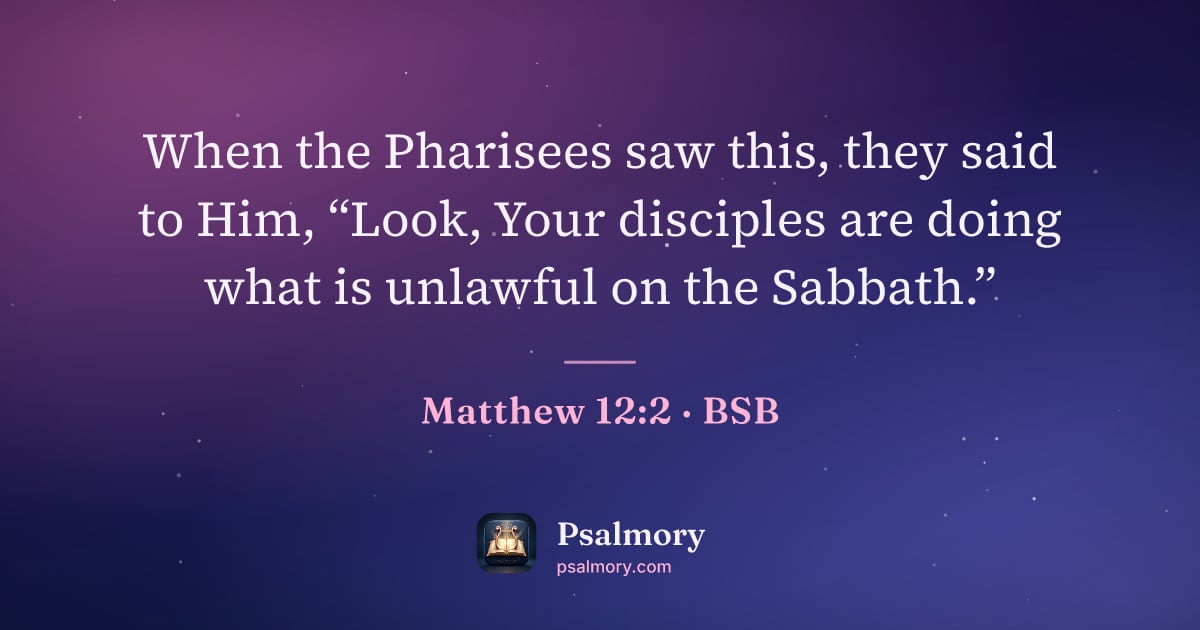 Matthew 12:2 verse artwork: When the Pharisees saw this, they said to Him, “Look, Your disciples are doing what is…