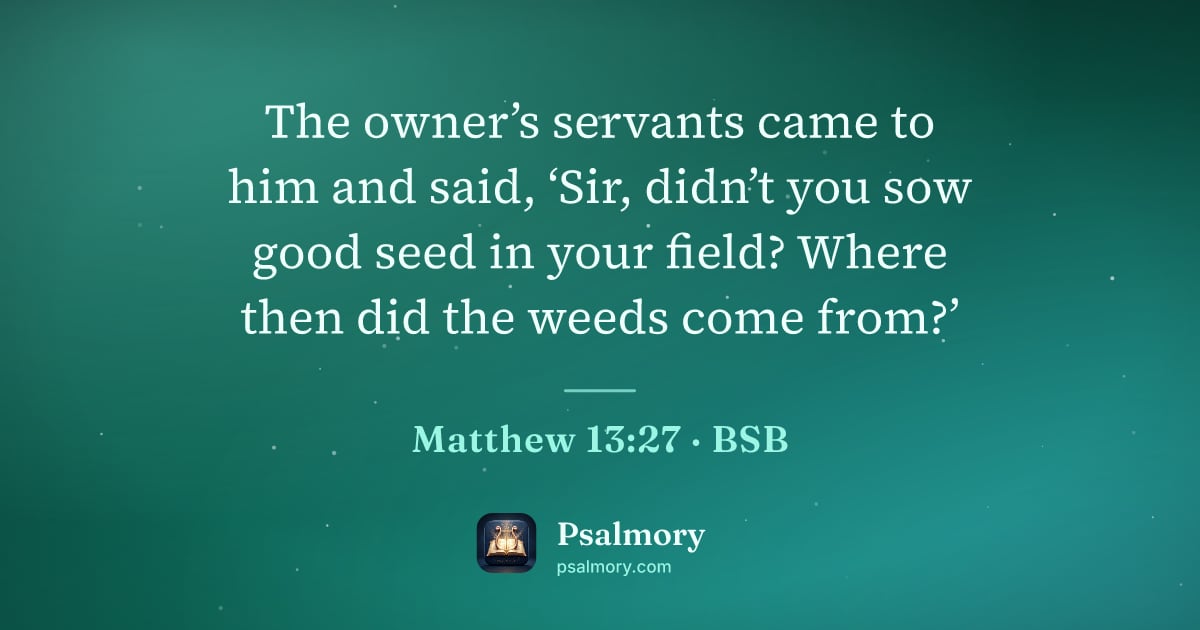 Matthew 13:27 verse artwork: The owner’s servants came to him and said, ‘Sir, didn’t you sow good seed in your field?…