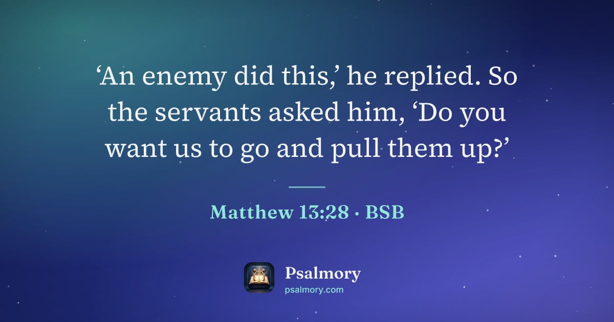 Matthew 13:28 verse artwork: ‘An enemy did this,’ he replied. So the servants asked him, ‘Do you want us to go and…