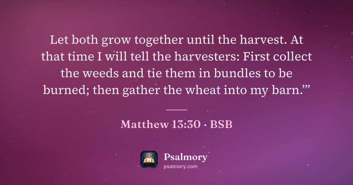 Matthew 13:30 verse artwork: Let both grow together until the harvest. At that time I will tell the harvesters: First…