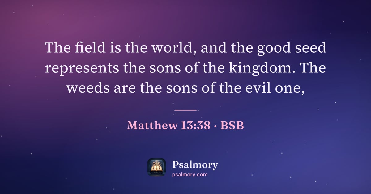 Matthew 13:38 verse artwork: The field is the world, and the good seed represents the sons of the kingdom. The weeds…