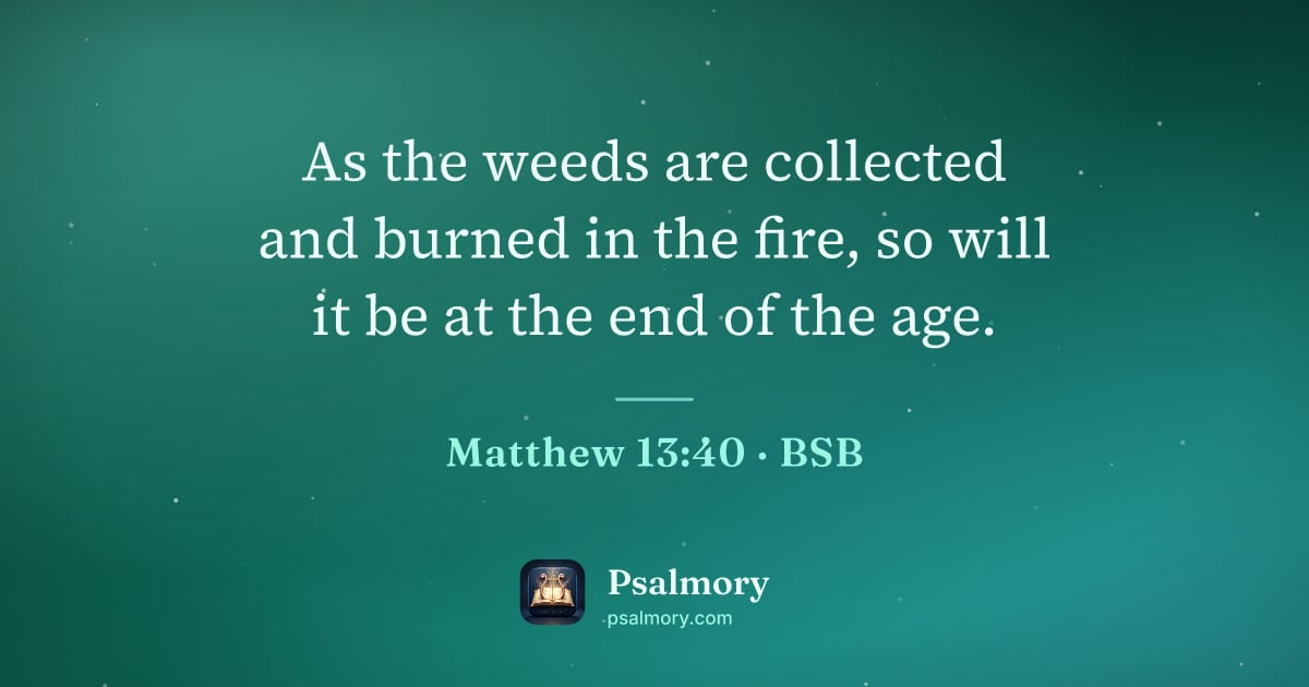 Matthew 13:40 verse artwork: As the weeds are collected and burned in the fire, so will it be at the end of the age.