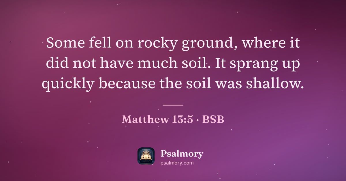 Matthew 13:5 verse artwork: Some fell on rocky ground, where it did not have much soil. It sprang up quickly because…