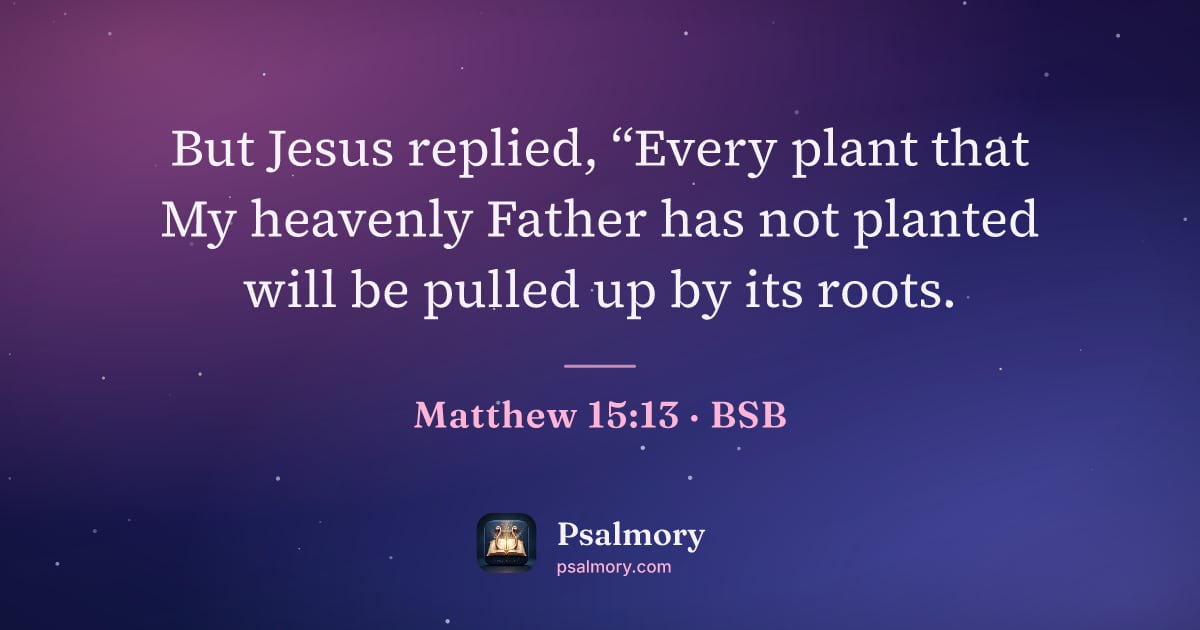 Matthew 15:13 verse artwork: But Jesus replied, “Every plant that My heavenly Father has not planted will be pulled…