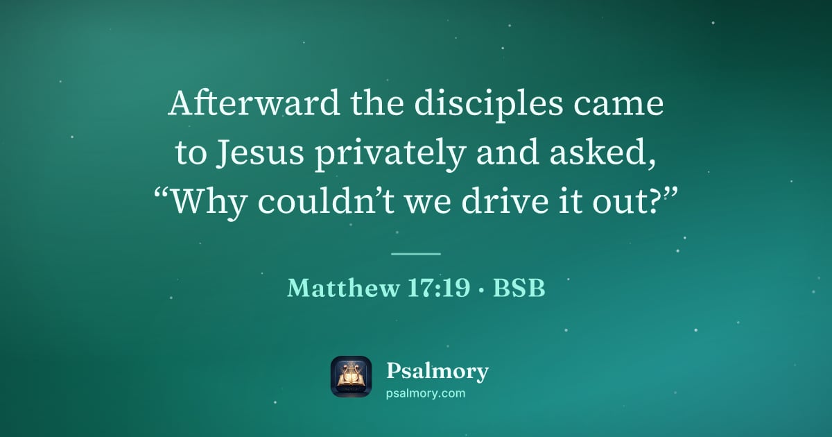 Matthew 17:19 verse artwork: Afterward the disciples came to Jesus privately and asked, “Why couldn’t we drive it out?”