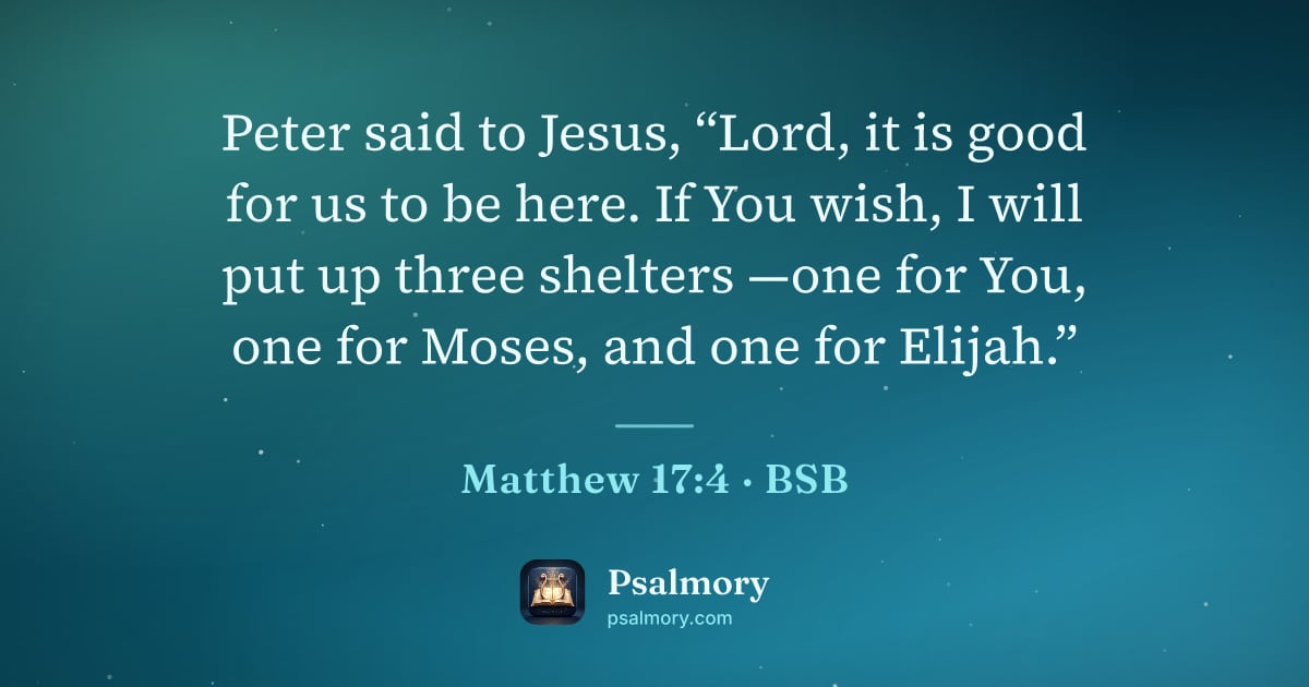 Matthew 17:4 verse artwork: Peter said to Jesus, “Lord, it is good for us to be here. If You wish, I will put up…