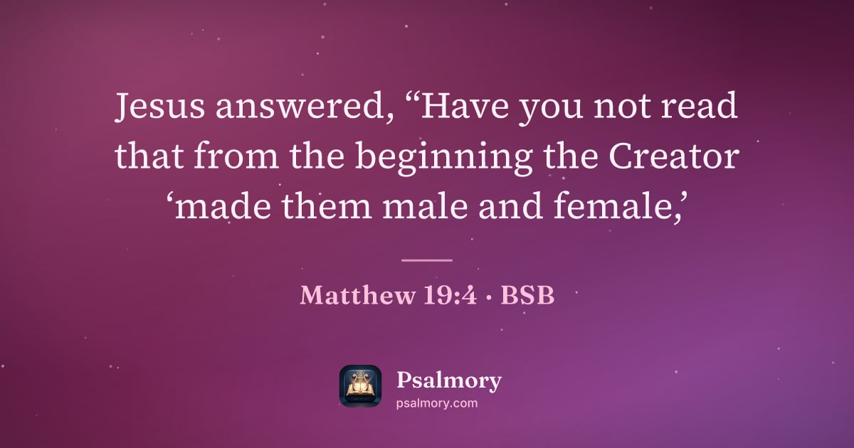 Matthew 19:4 verse artwork: Jesus answered, “Have you not read that from the beginning the Creator ‘made them male…
