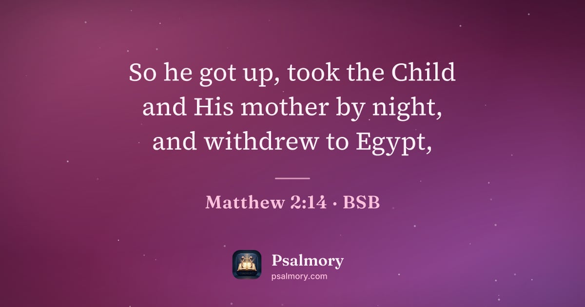 Matthew 2:14 verse artwork: So he got up, took the Child and His mother by night, and withdrew to Egypt,
