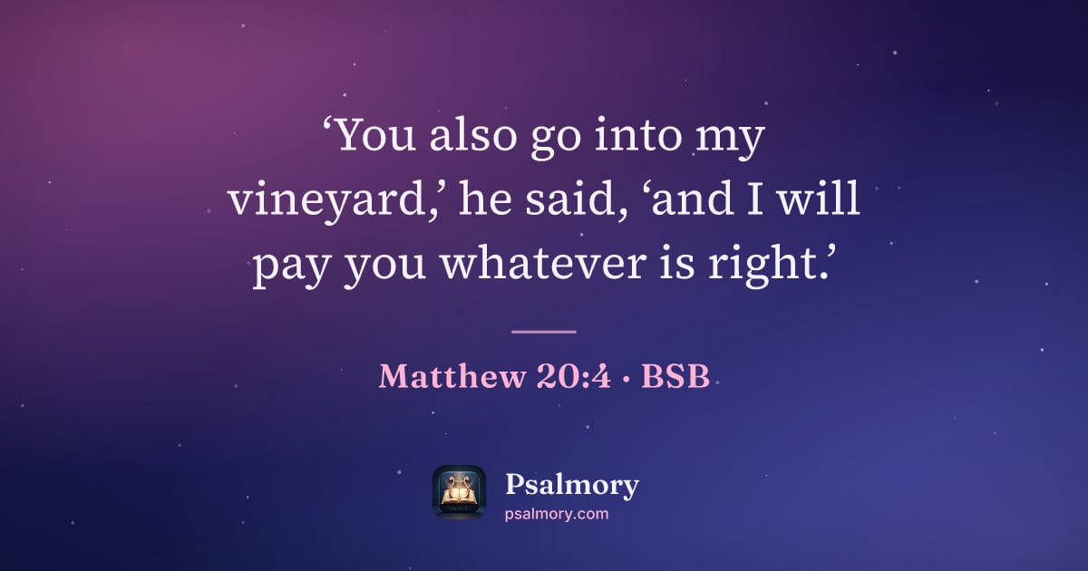 Matthew 20:4 verse artwork: ‘You also go into my vineyard,’ he said, ‘and I will pay you whatever is right.’