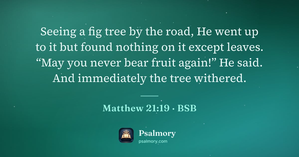 Matthew 21:19 verse artwork: Seeing a fig tree by the road, He went up to it but found nothing on it except leaves.…