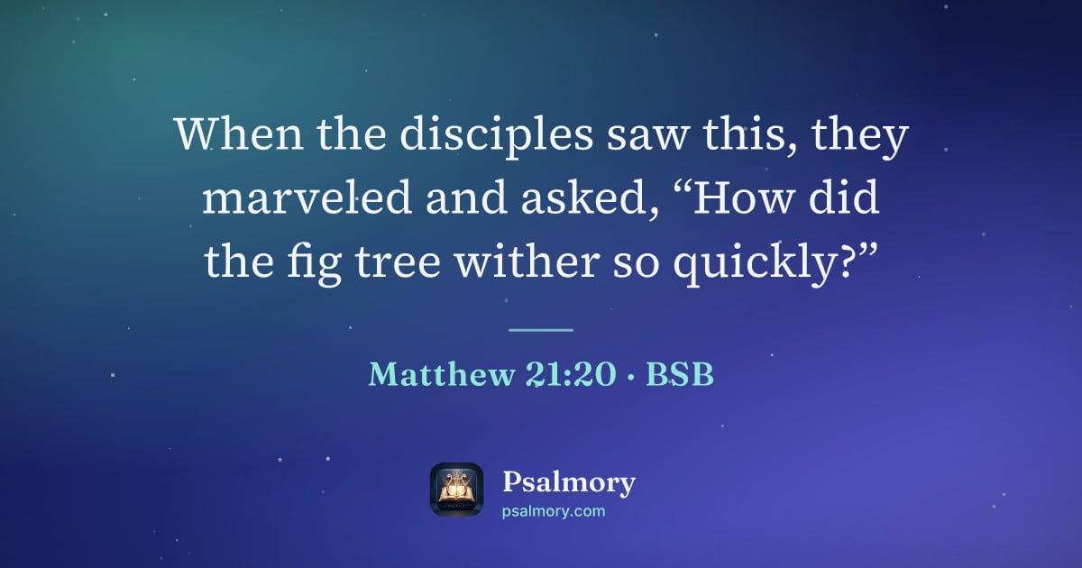 Matthew 21:20 verse artwork: When the disciples saw this, they marveled and asked, “How did the fig tree wither so…